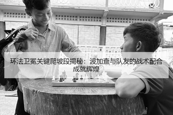 huan-fa-wei-mian-guan-jian-pa-po-duan-jie-mi-bo-jia-cha-yu-dui-you-de-zhan-shu-pei-he-cheng-jiu-hui-huang-2-903.jpg