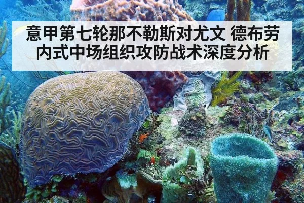 意甲第七轮那不勒斯对尤文 德布劳内式中场组织攻防战术深度分析